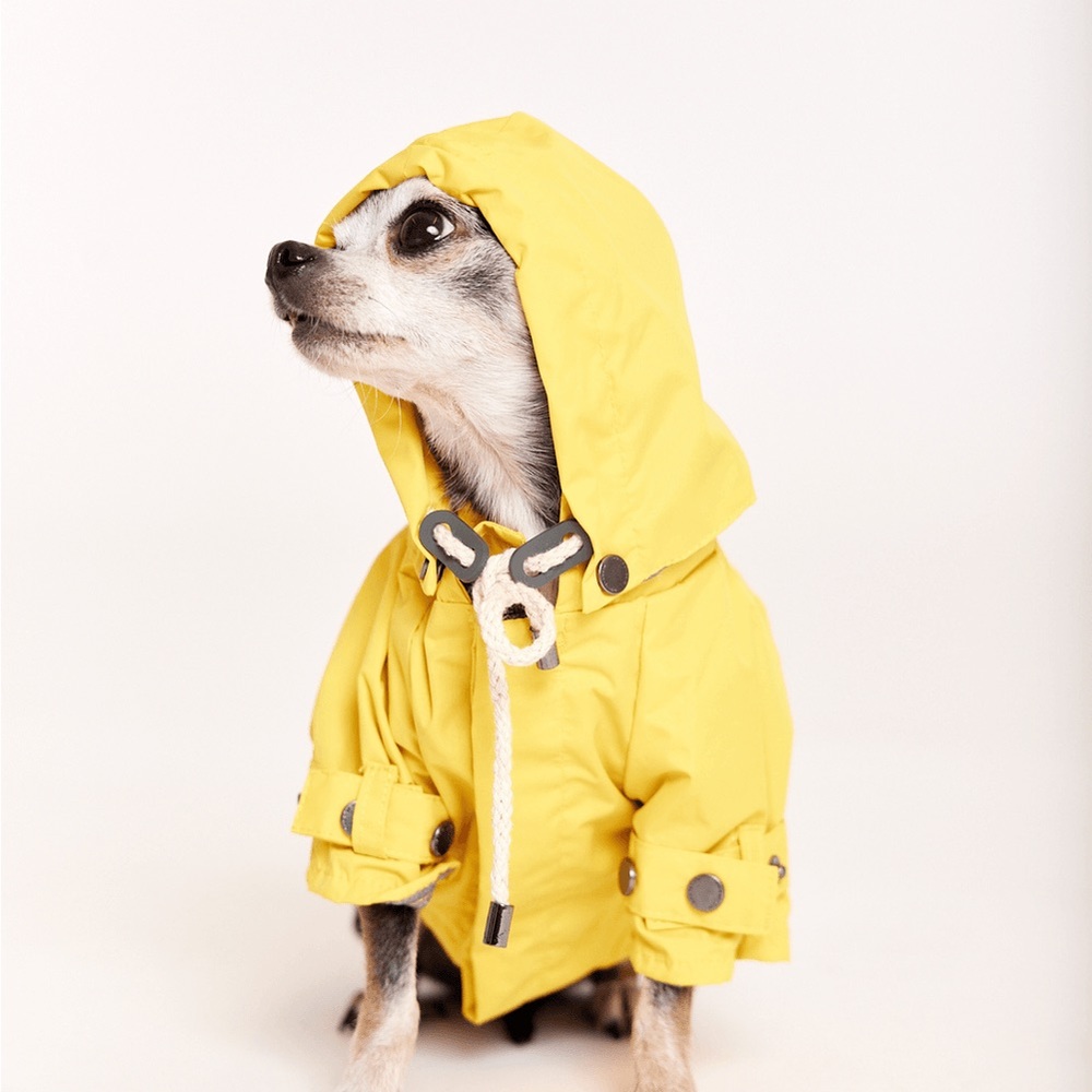 Max & Bone Talon Raincoat Yellow Dog coat